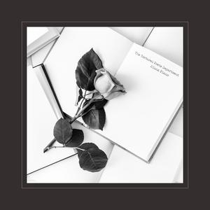 91精品宅男在线观看
